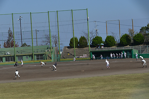 w480野球場 w480野球場