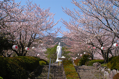 w480眉山祈念治山祈念公園 w480眉山祈念治山祈念公園