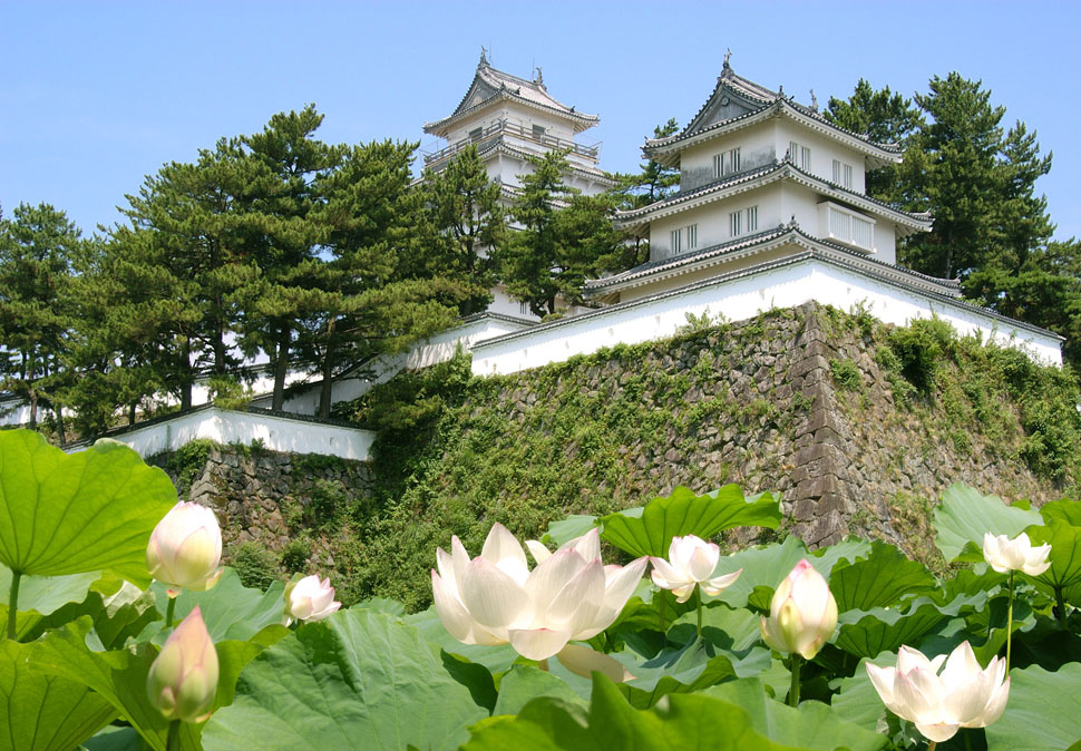 01島原城 (5)
