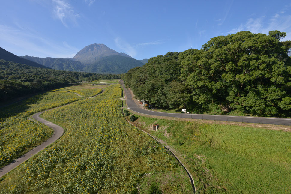 道路 (12)