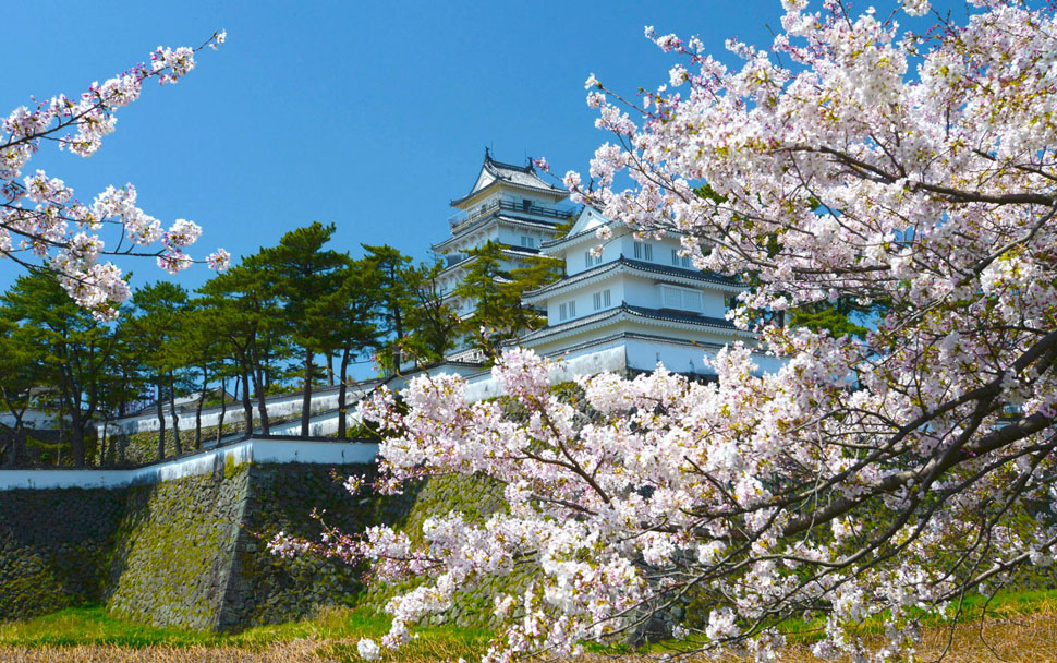 島原城(桜)
