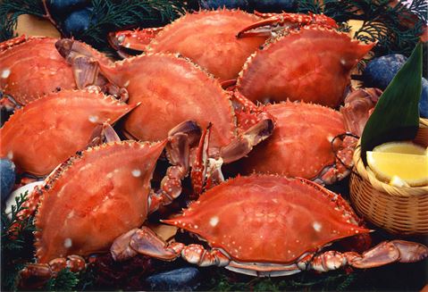 島原名物 (2)