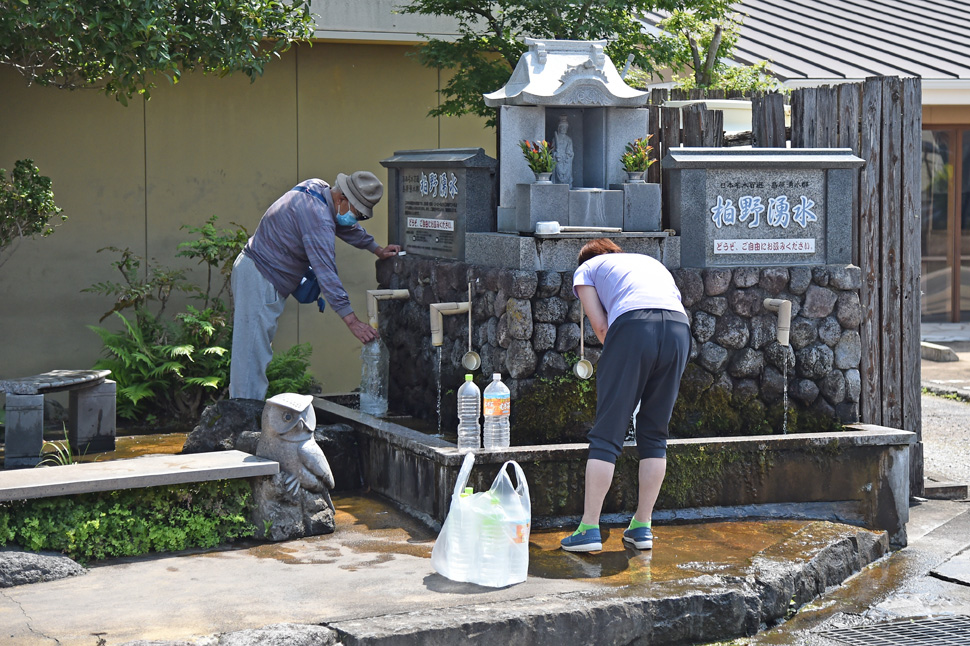 柏野湧水 (17)