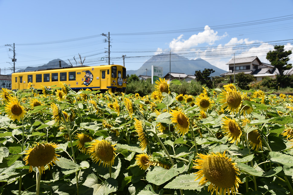 島原鉄道 (5)