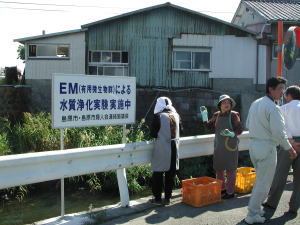 EM泥団子の投入