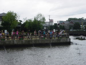 EM泥団子の投入・白土湖へ