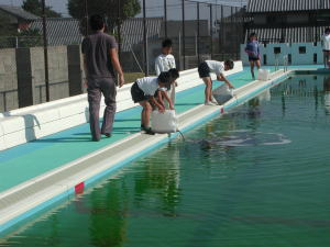 EM泥団子の投入・小学校のプールへ2