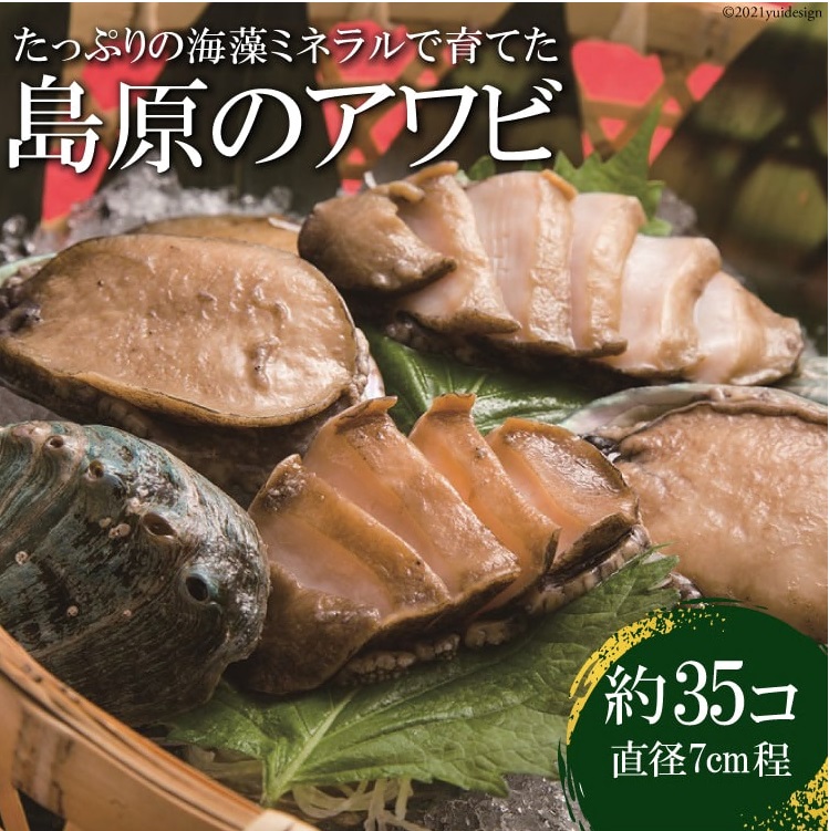 ジオアワビ35個（96000円）