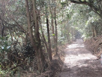 図5