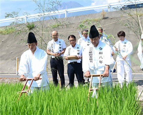 青田祭