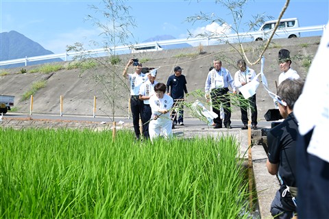 青田祭