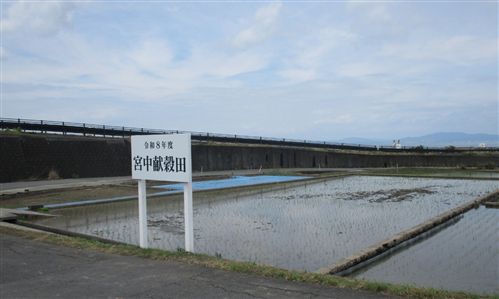 御田植4