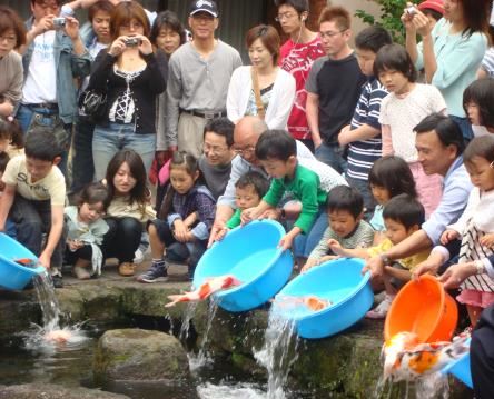 鯉の泳ぐまち 鯉の泳ぐまち