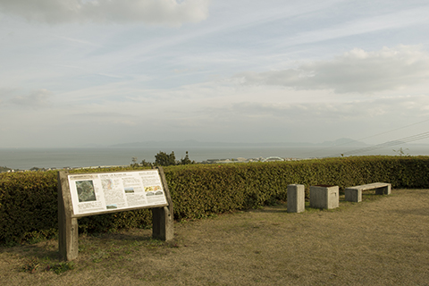 仁田団地第一公園  仁田団地第一公園