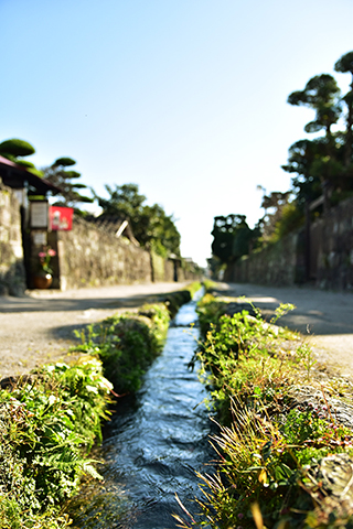島原湧水群 島原湧水群