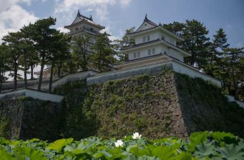 欢迎您到岛原来! 欢迎您到岛原来!