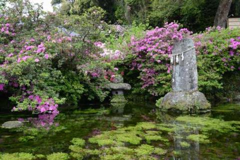 欢迎您到岛原来! 欢迎您到岛原来!