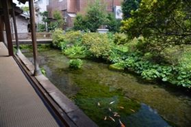 欢迎您到岛原来! 欢迎您到岛原来!