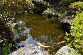 泉水量豐沛的城市 泉水量豐沛的城市