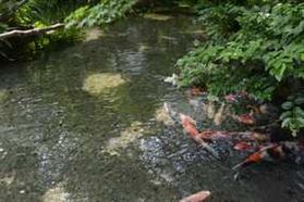 泉水量豐沛的城市 泉水量豐沛的城市