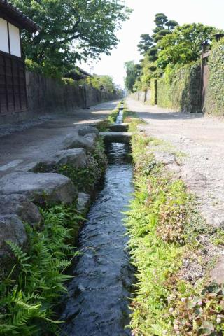 泉水量豐沛的城市 泉水量豐沛的城市