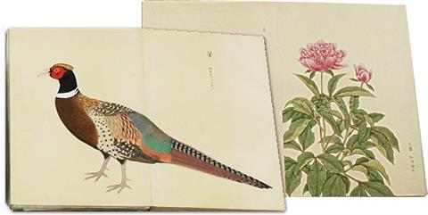 034+201105鳥獣図鑑(松平文庫所蔵資料)(平成23年5月号)鳥獣図鑑(松平文庫所蔵)2