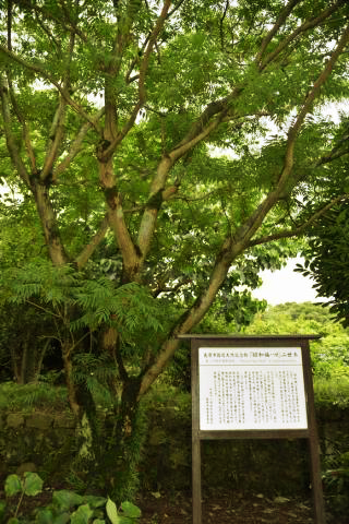 旧島原藩薬園跡 旧島原藩薬園跡