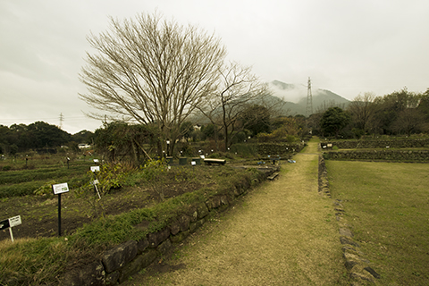 旧島原藩薬園跡 
